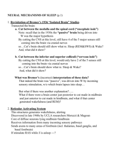 NEURAL MECHANISMS OF SLEEP