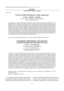 Cortical Neuronal Mechanisms of Sleep Homeostasis