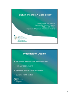 BSE in Ireland : A Case Study Presentation Outline