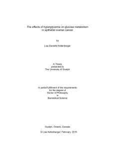 The effects of hyperglycemia on glucose metabolism in