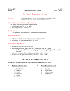 Biology 2201 Unit 3 Notes: Human Respiratory System Page 1 of 11