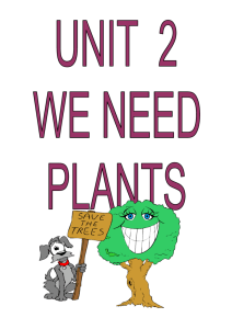 unit 2. plants corrected