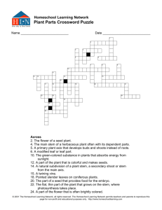 Plant Parts Crossword Puzzle - Homeschool Learning Network