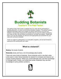 Budding Botanists - Golden Gate National Parks Conservancy