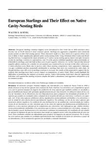European Starlings and Their Effect on Native Cavity