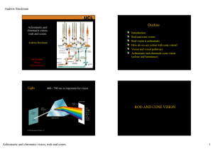 Rods & cones, achromatic and chromatic vision