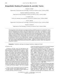 Biosynthetic Studies of Fumonisin B1 and AAL Toxins