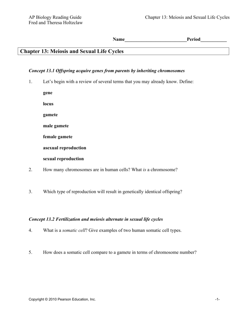 Chapter 13 Meiosis And Sexual Life Cycles