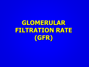 GLOMERULAR FILTRATION RATE (GFR)