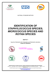 identification of staphylococcus species, micrococcus species and