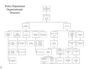 Police Department Organizational Structure