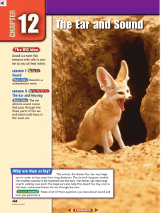 Chapter 12: The Ear and Sound