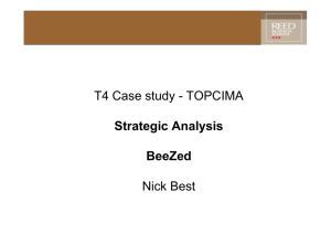 T4 Case study - TOPCIMA Strategic Analysis BeeZed Nick Best