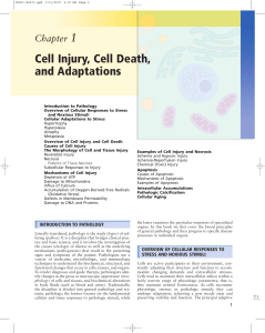 Cell Injury, Cell Death, and Adaptations