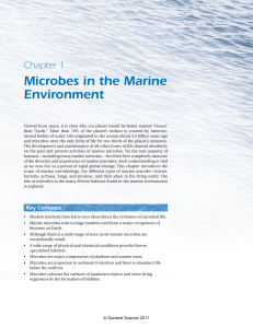 Microbes in the Marine Environment