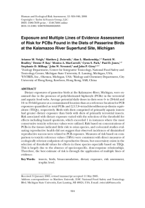 Exposure and Multiple Lines of Evidence Assessment of Risk for