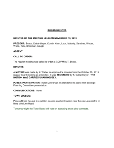 November 19, 2013 Meeting Minutes