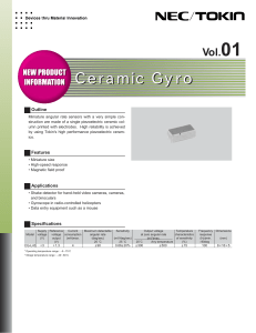 Ceramic Gyro Ceramic Gyro