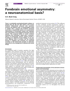 Forebrain emotional asymmetry: a neuroanatomical basis?