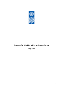 Strategy for Working with the Private Sector