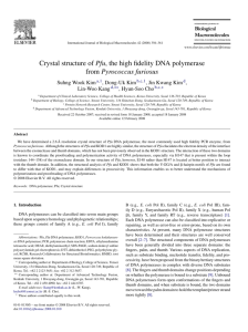 Crystal structure of Pfu, the high fidelity DNA polymerase from