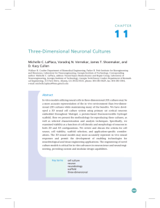 Three-Dimensional Neuronal Cultures