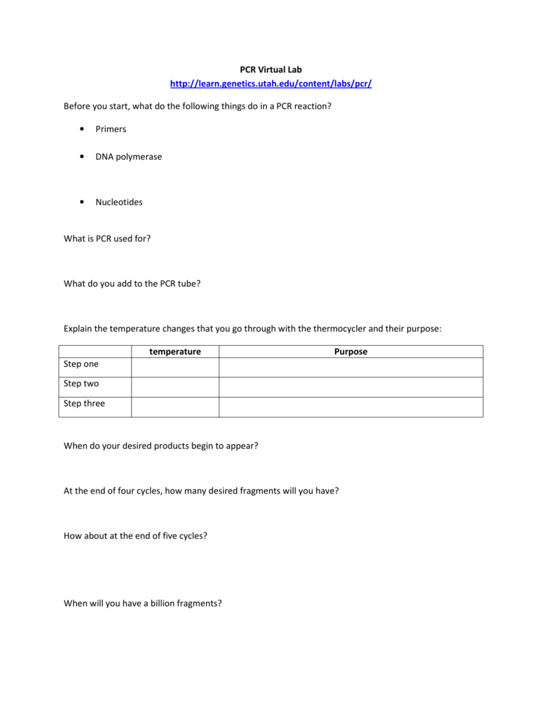 Pcr Virtual Lab Worksheet Answers