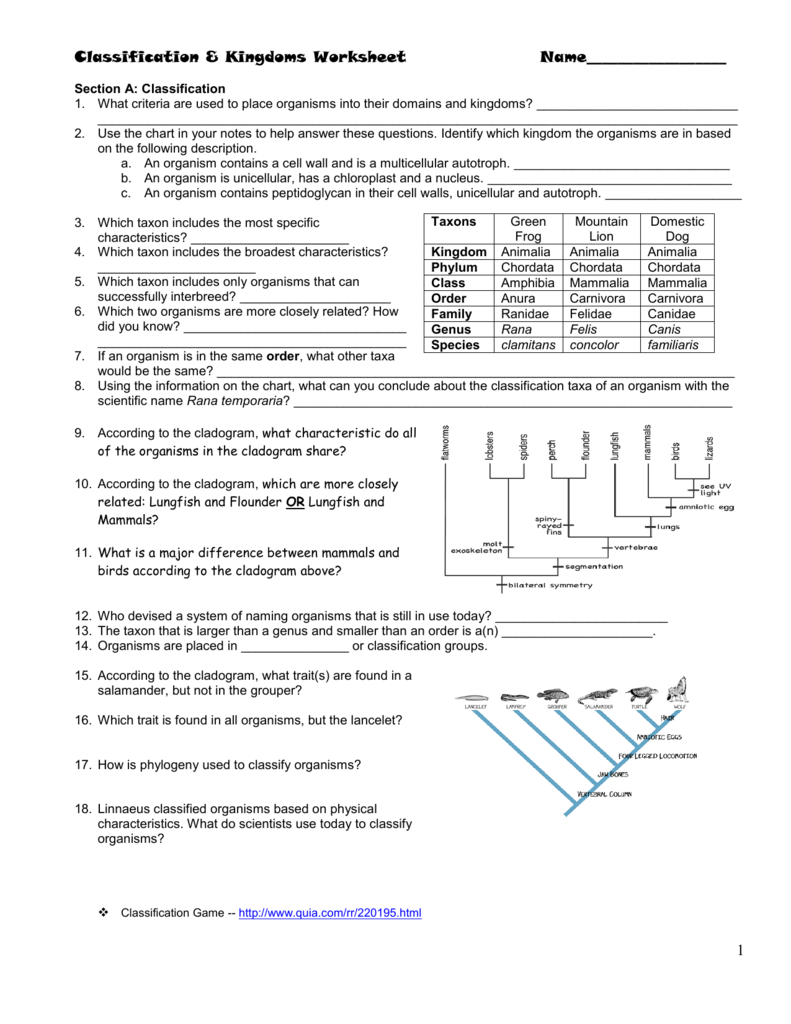 Classifying Organisms Chart