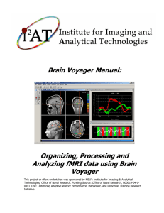 Brain Voyager Manual - Institute for Imaging & Analytical Technologies