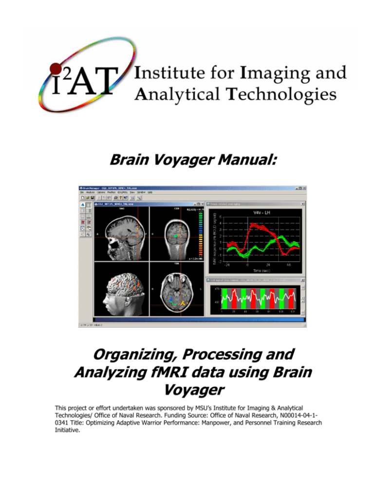 brain voyager analysis