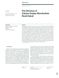 Fine Structure of Calcium Oxalate Monohydrate Renal Calculi