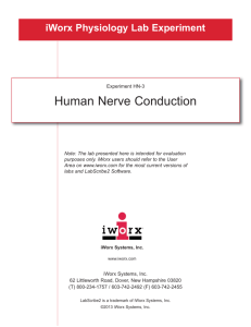 Human Nerve Conduction Velocity