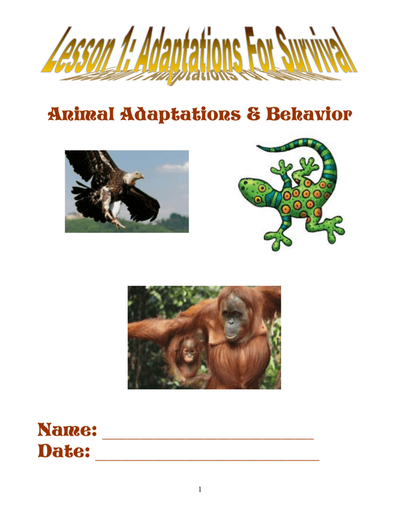 Animal Adaptations & Behavior Name: Date: