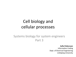 Cell biology and cellular processes