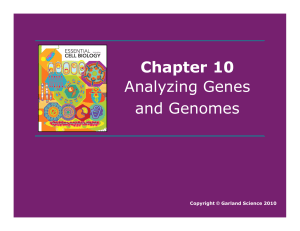 Chapter 10 Analyzing Genes and Genomes