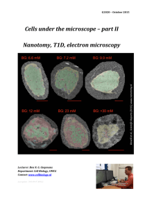 Cells under the microscope – part II Nanotomy, T1D, electron