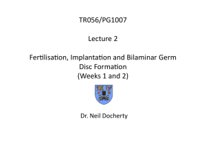 PG1007 Lecture 2 Fertilisation, Implantation and Bilaminar Germ