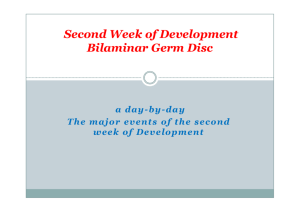 Second Week of Development Bilaminar Germ Disc