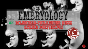Embryology 3rd Lecture