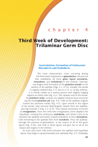 c h a p t e r 4 Third Week of Development: Trilaminar Germ Disc