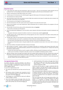 Genes and Chromosomes Fact Sheet 1