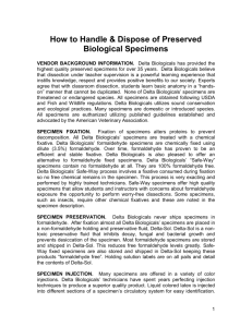 Biological Specimins Handling and Disposal - Hands