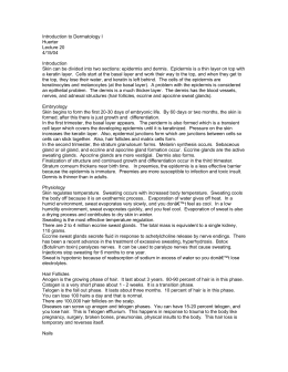 Anatomy I Integumentary System Answer Key Write true if the