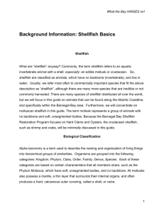 Background Information: Shellfish Basics