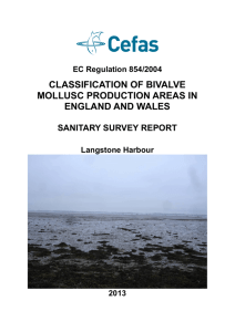 classification of bivalve mollusc production areas in england