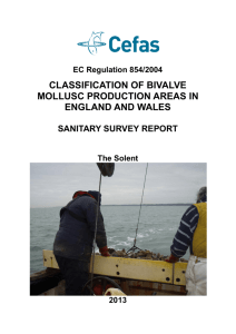 classification of bivalve mollusc production areas in england and