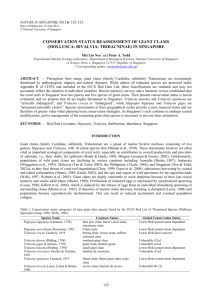 conservation status reassessment of giant clams