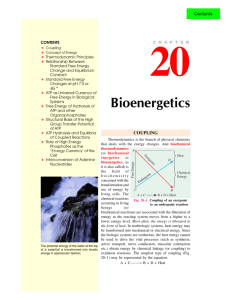 20. bioenergetics
