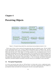 Perceiving Objects