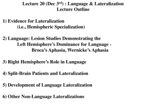 Hemispheric Lateralization & Language